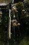 gal/Voyages/Angleterre/Mother_Chiptons_Cave/_thb_Mother_Chiptons_Cave40.jpg