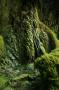 gal/Voyages/Angleterre/Mother_Chiptons_Cave/_thb_Mother_Chiptons_Cave44.jpg