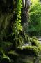 gal/Voyages/Angleterre/Mother_Chiptons_Cave/_thb_Mother_Chiptons_Cave47.jpg