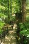 gal/Voyages/Angleterre/Mother_Chiptons_Cave/_thb_Mother_Chiptons_Cave56.jpg