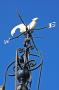 gal/Voyages/Angleterre/Oxford/Carfax_Tower/_thb_Oxford_Carfax_Tower19.jpg
