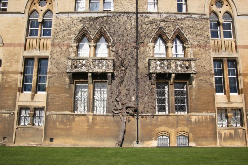 gal/Voyages/Angleterre/Oxford/Christ_Church/Oxford_Christ_Church13.jpg