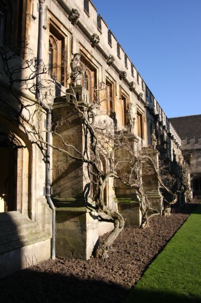 gal/Voyages/Angleterre/Oxford/Magdalen_College/Oxford_Magdalen_College27.jpg