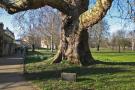 gal/Voyages/Angleterre/Oxford/Magdalen_College/_thb_Oxford_Magdalen_College45.jpg
