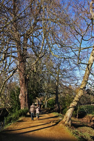 gal/Voyages/Angleterre/Oxford/Magdalen_Grove_Park/Oxford_Magdalen_Grove08.jpg