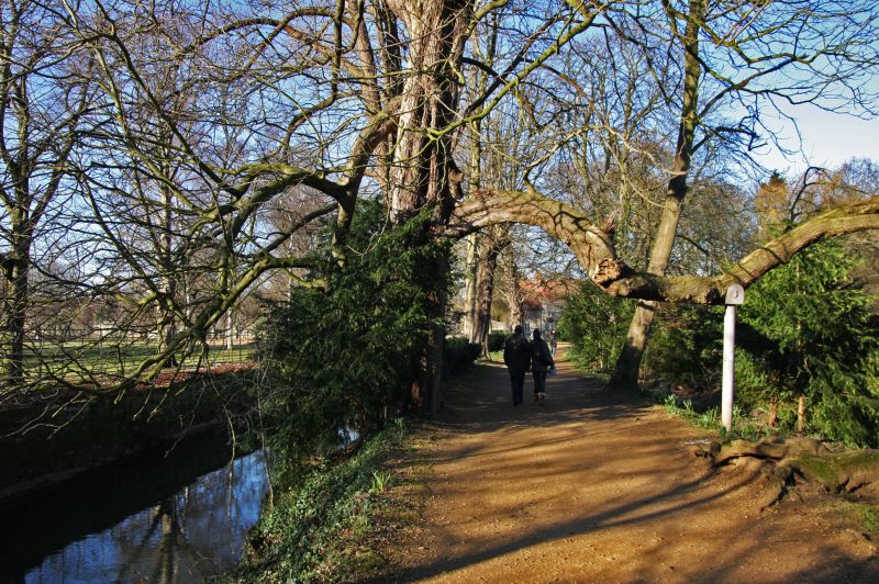 gal/Voyages/Angleterre/Oxford/Magdalen_Grove_Park/Oxford_Magdalen_Grove09.jpg