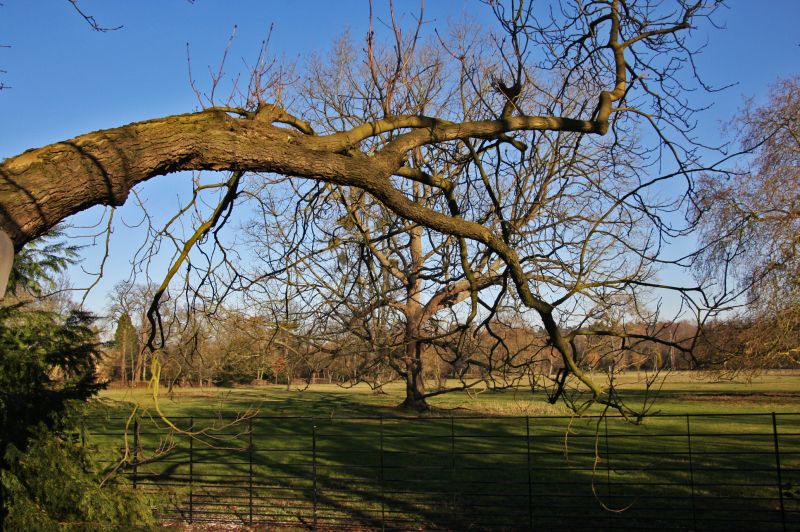 gal/Voyages/Angleterre/Oxford/Magdalen_Grove_Park/Oxford_Magdalen_Grove10.jpg