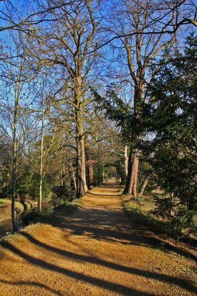 gal/Voyages/Angleterre/Oxford/Magdalen_Grove_Park/Oxford_Magdalen_Grove16.jpg