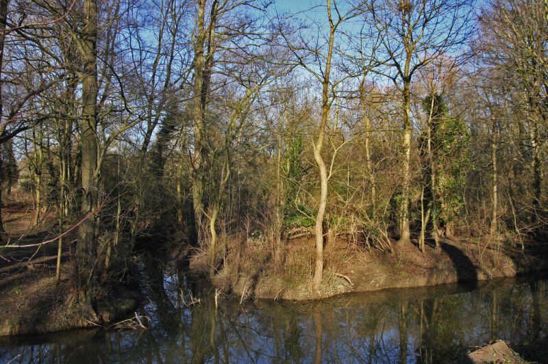 gal/Voyages/Angleterre/Oxford/Magdalen_Grove_Park/Oxford_Magdalen_Grove18.jpg