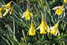 gal/Voyages/Angleterre/Oxford/Magdalen_Grove_Park/_thb_Oxford_Magdalen_Grove05.jpg
