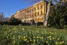 gal/Voyages/Angleterre/Oxford/Magdalen_Grove_Park/_thb_Oxford_Magdalen_Grove07.jpg