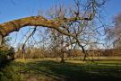 gal/Voyages/Angleterre/Oxford/Magdalen_Grove_Park/_thb_Oxford_Magdalen_Grove10.jpg