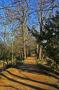 gal/Voyages/Angleterre/Oxford/Magdalen_Grove_Park/_thb_Oxford_Magdalen_Grove16.jpg