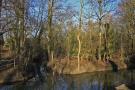 gal/Voyages/Angleterre/Oxford/Magdalen_Grove_Park/_thb_Oxford_Magdalen_Grove18.jpg