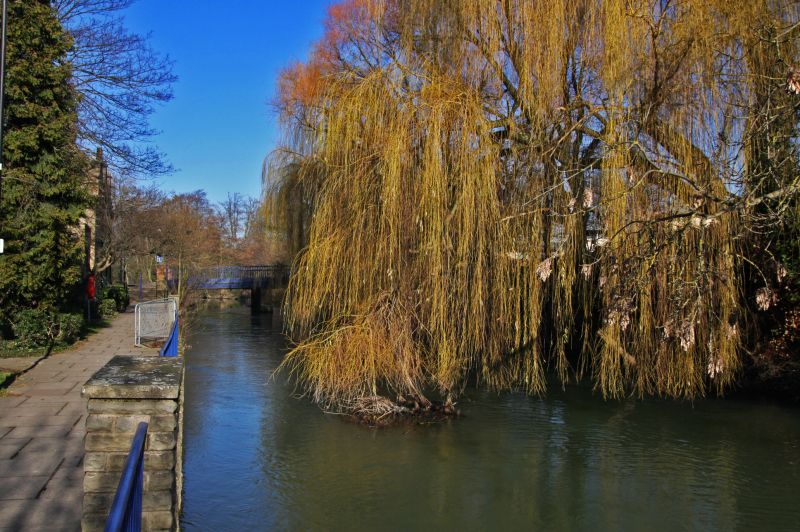 gal/Voyages/Angleterre/Oxford/Oxford04.jpg