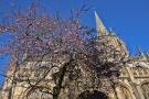 gal/Voyages/Angleterre/Oxford/University_Church_of_St_Mary_the_Virgin/_thb_Oxford_University_Church04.jpg