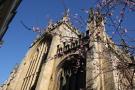 gal/Voyages/Angleterre/Oxford/University_Church_of_St_Mary_the_Virgin/_thb_Oxford_University_Church33.jpg