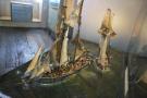 gal/Voyages/Angleterre/Portsmouth/Historic_Dockyard/_thb_Portsmouth_Historic_Dockyard21.jpg