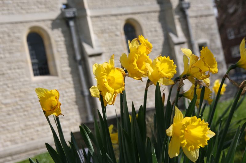 gal/Voyages/Angleterre/Portsmouth/Portsmouth_Cathedral/Portsmouth_Cathedral06.jpg