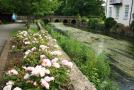 gal/Voyages/Angleterre/Salisbury/_thb_Salisbury79.jpg