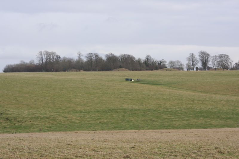 gal/Voyages/Angleterre/Stonehenge/Stonehenge331.jpg