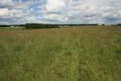gal/Voyages/Angleterre/Stonehenge/_thb_Stonehenge105.jpg