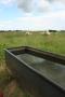 gal/Voyages/Angleterre/Stonehenge/_thb_Stonehenge142.jpg