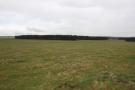 gal/Voyages/Angleterre/Stonehenge/_thb_Stonehenge320.jpg