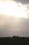 gal/Voyages/Angleterre/Stonehenge/_thb_Stonehenge329.jpg