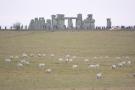 gal/Voyages/Angleterre/Stonehenge/_thb_Stonehenge336.jpg
