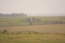 gal/Voyages/Angleterre/Stonehenge/_thb_Stonehenge351.jpg