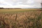 gal/Voyages/Angleterre/Stonehenge/_thb_Stonehenge354.jpg