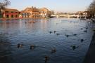 gal/Voyages/Angleterre/Windsor/Centre_Ville/_thb_Windsor_25.jpg