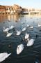 gal/Voyages/Angleterre/Windsor/Centre_Ville/_thb_Windsor_29.jpg