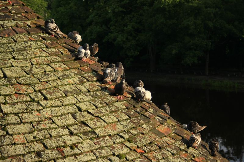 gal/Voyages/Angleterre/York/IMG_8554.JPG