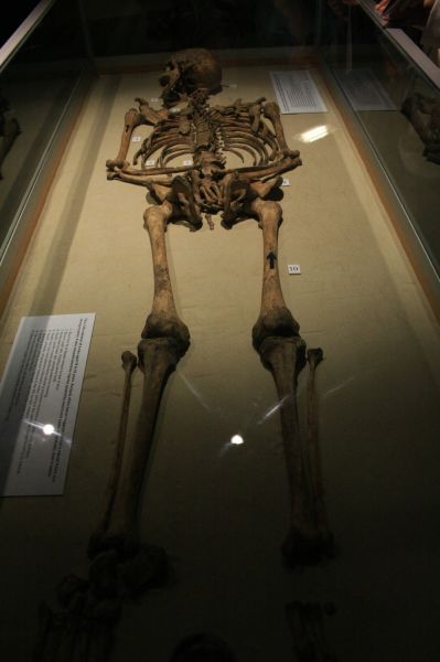 gal/Voyages/Angleterre/York/Jorvik/York_Jorvik56.jpg