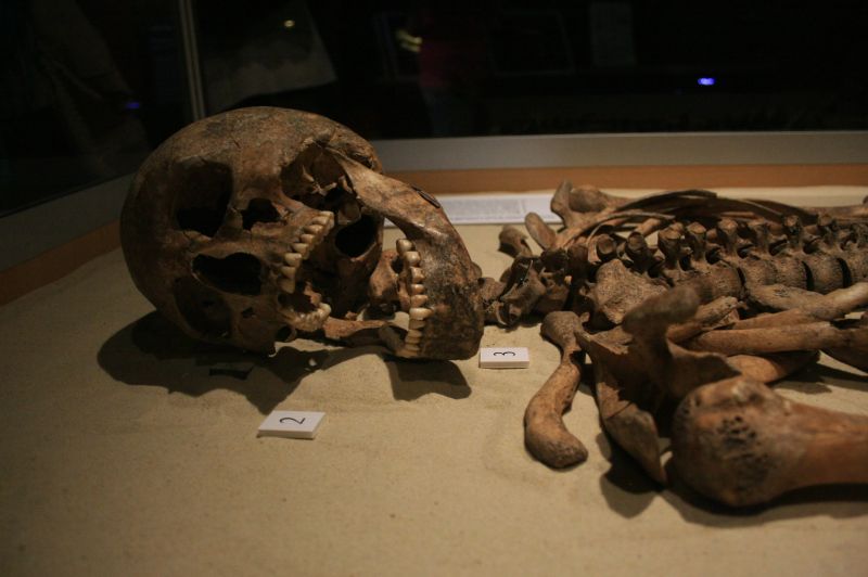 gal/Voyages/Angleterre/York/Jorvik/York_Jorvik58.jpg