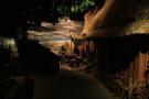gal/Voyages/Angleterre/York/Jorvik/_thb_York_Jorvik36.jpg