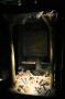 gal/Voyages/Angleterre/York/Jorvik/_thb_York_Jorvik54.jpg