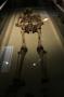 gal/Voyages/Angleterre/York/Jorvik/_thb_York_Jorvik56.jpg