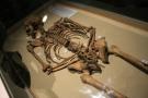 gal/Voyages/Angleterre/York/Jorvik/_thb_York_Jorvik57.jpg
