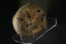 gal/Voyages/Angleterre/York/Jorvik/_thb_York_Jorvik61.jpg