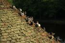 gal/Voyages/Angleterre/York/_thb_IMG_8554.JPG