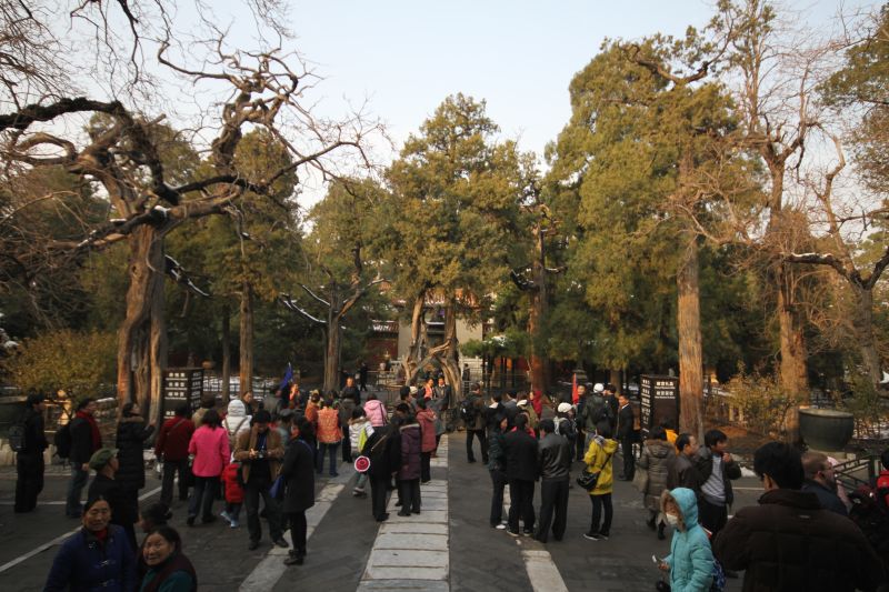 gal/Voyages/Beijing_-_China/Cite_Interdite/Cite_Interdite_Pekin_Beijing_Forbidden_City305.jpg