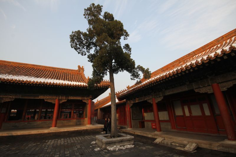 gal/Voyages/Beijing_-_China/Cite_Interdite/Cite_Interdite_Pekin_Beijing_Forbidden_City396.jpg