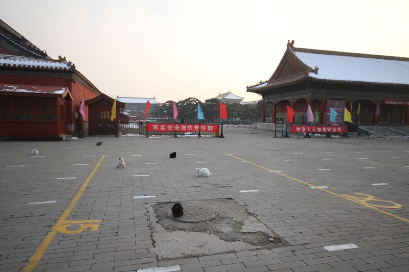 gal/Voyages/Beijing_-_China/Cite_Interdite/Cite_Interdite_Pekin_Beijing_Forbidden_City463.jpg