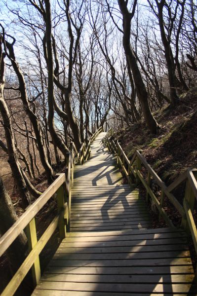 gal/Voyages/Denmark/Mons_Klint/Mons_Klint_Denmark_cliff004.jpg