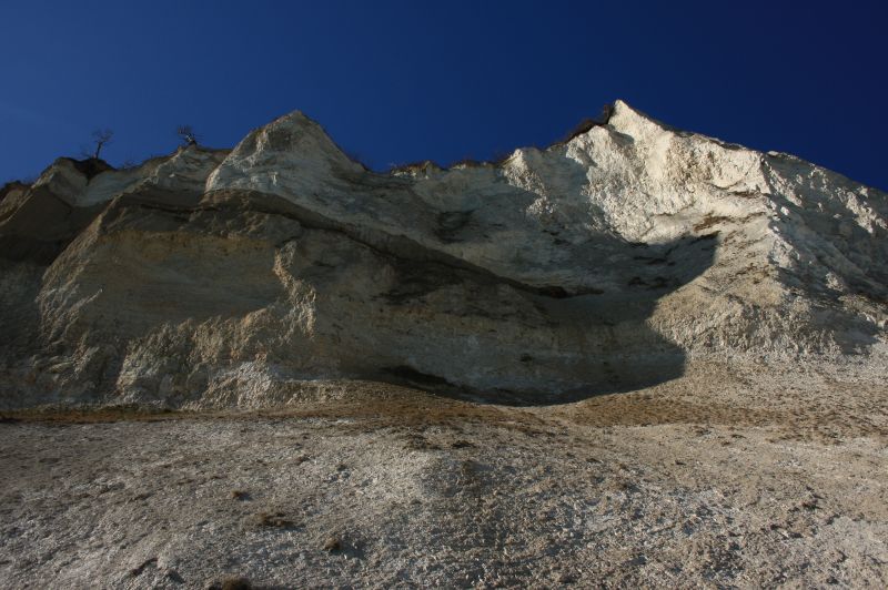gal/Voyages/Denmark/Mons_Klint/Mons_Klint_Denmark_cliff030.jpg