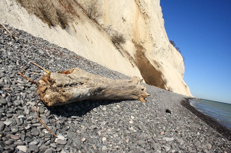 gal/Voyages/Denmark/Mons_Klint/Mons_Klint_Denmark_cliff035.jpg