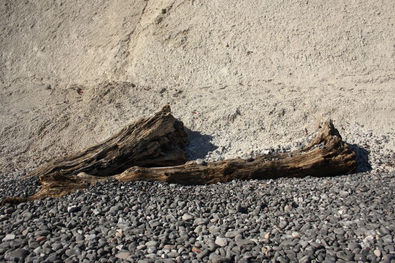 gal/Voyages/Denmark/Mons_Klint/Mons_Klint_Denmark_cliff042.jpg